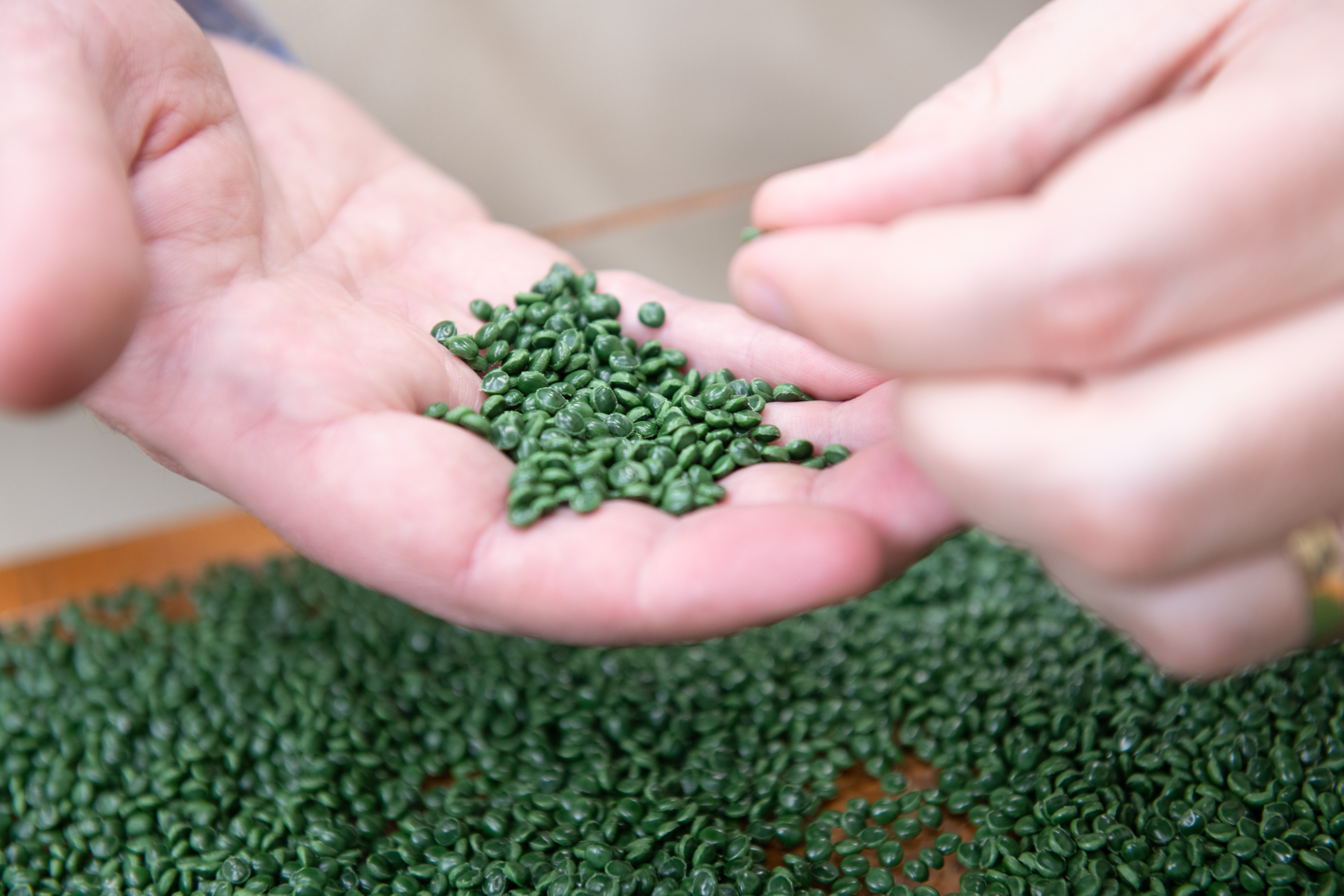 Close-up of hands holding and sorting small green plastic granules