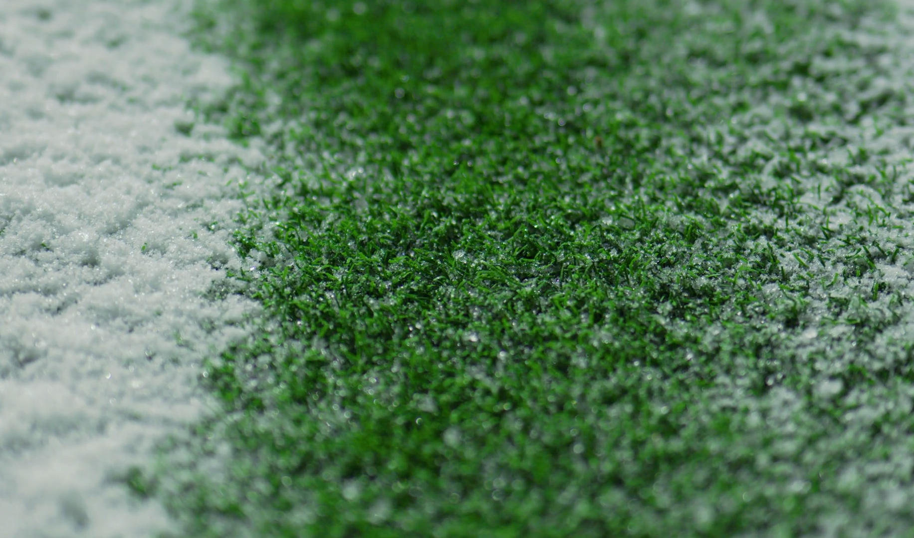 Close up image of snowy pitch